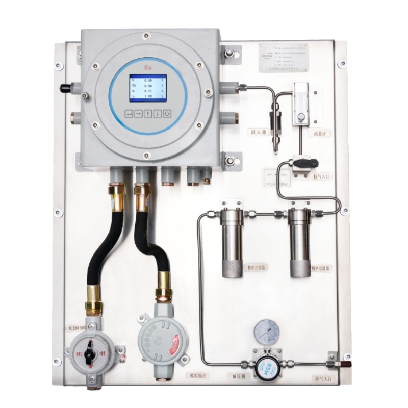 RL-E500Ex型隔爆多组分分析仪
