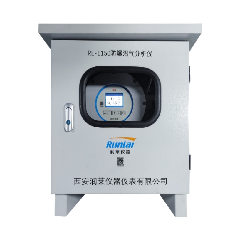 RL-E150防爆沼气分析仪